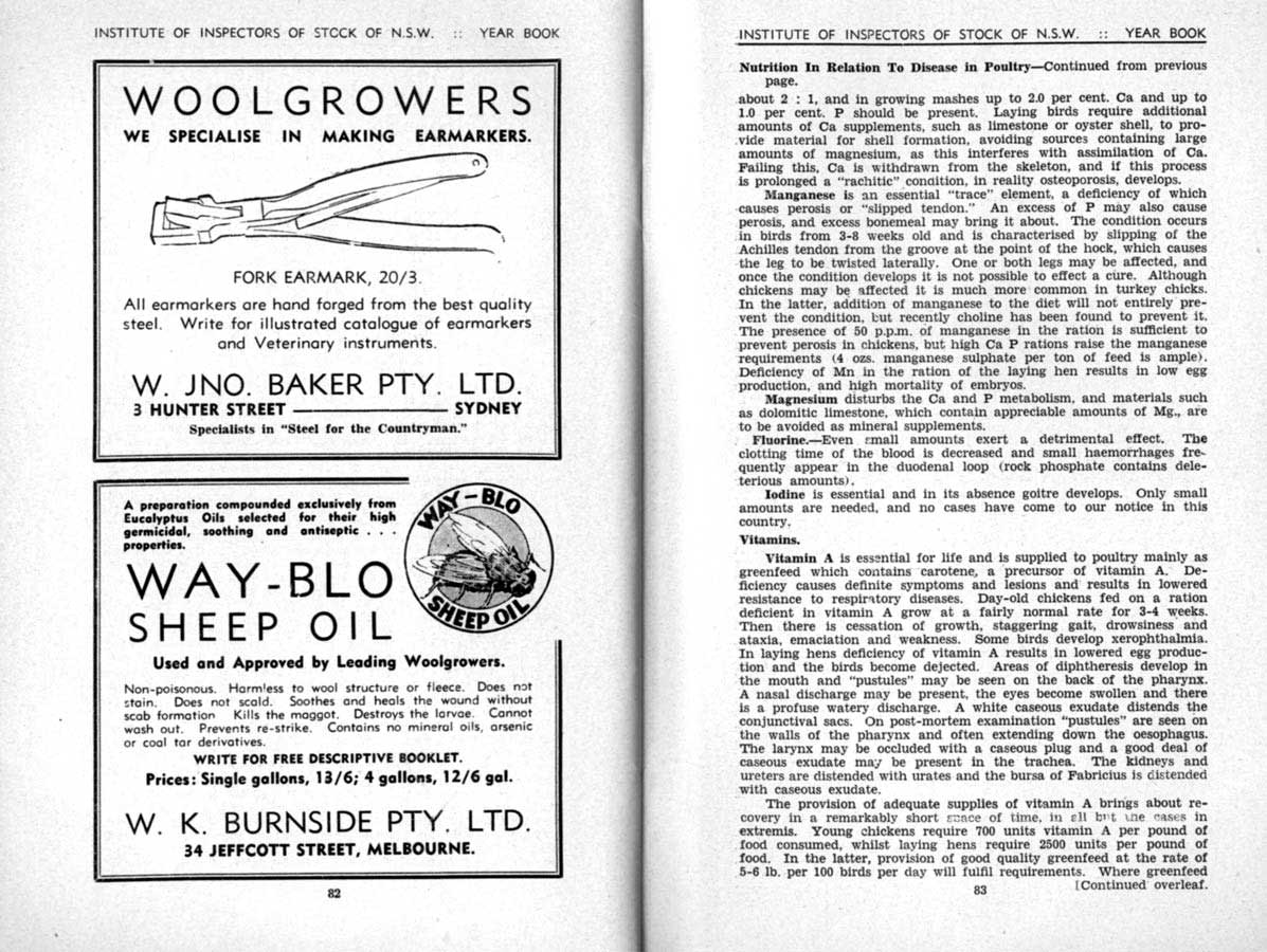 1941 Page 82 83